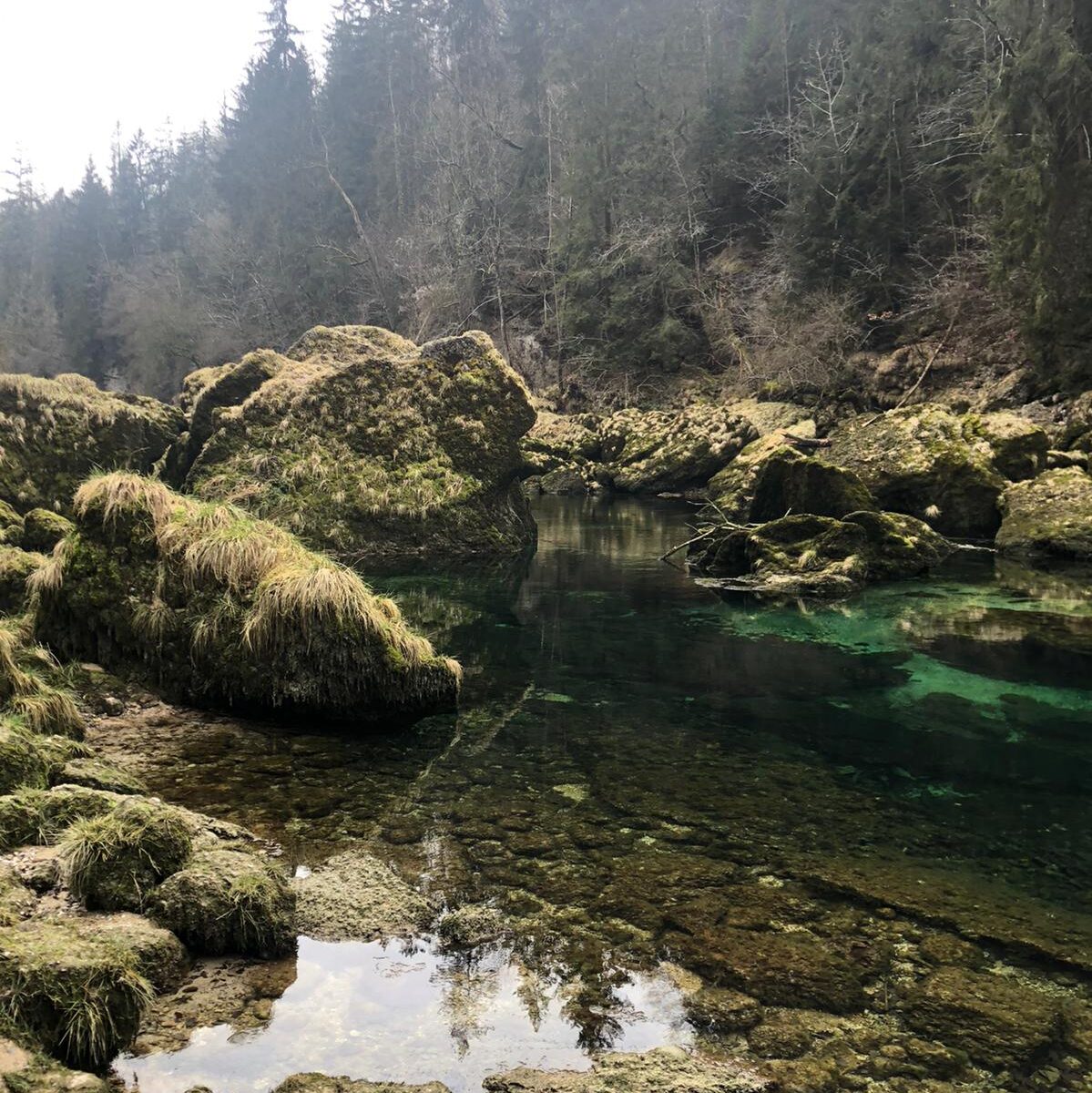 Kajaktour auf der Traun